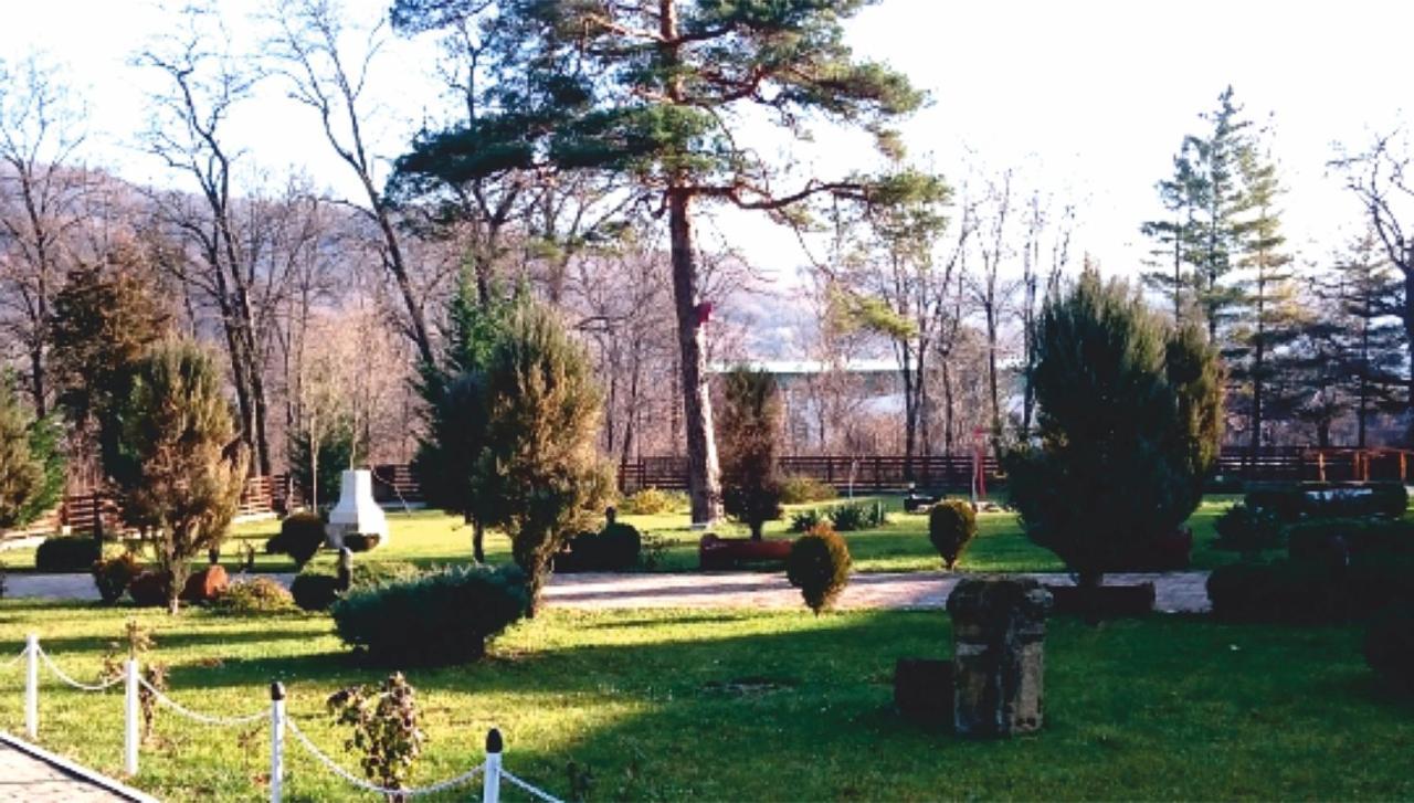 Hotel Spa Cazino Monteoru Sărata-Monteoru エクステリア 写真